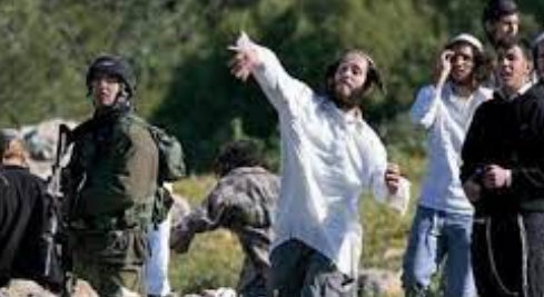 مستوطن يعتدي على مواطن في طولكرم